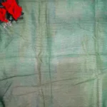 Shreyans Fancy Sarees-MB175 - Image 2