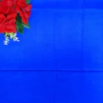 Kalanjali Silk With Small Border Sarees-MB458 - Image 3