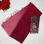 Glossy Silk With Work Blouse-MB464 - Image 4