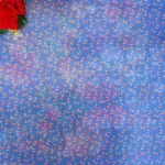 Butterfly Pure Digital Georgette Sarees-MB483 - Image 3