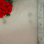 Pista Green Special Party Ware Lehangas-MB549 - Image 4