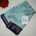 66