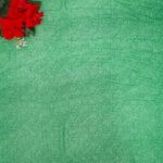 Pure Georgette Daily Ware Sarees-MB889(Green To white) - Image 3