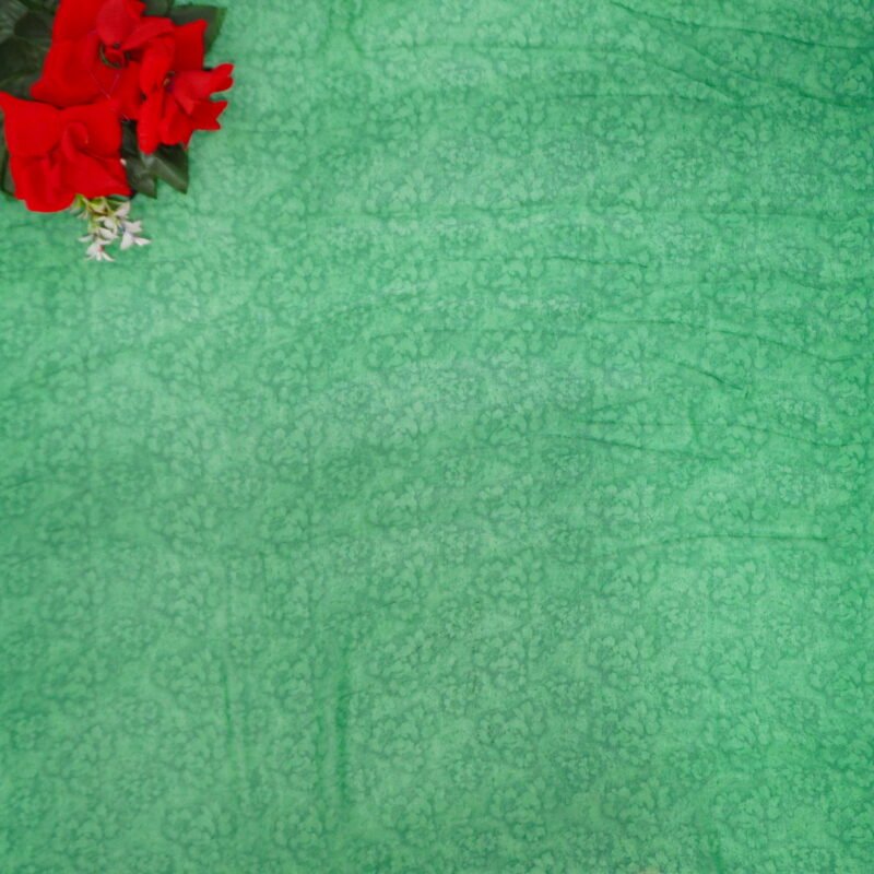 Pure Georgette Daily Ware Sarees-MB889(Green To white) - Image 3