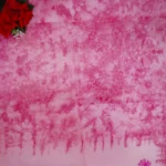 Pure Cotton Embroydery Sarees -MB932 - Image 2