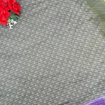 Pure Viscose Georgette Sarees -MB008 - Image 2
