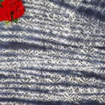 Kolkata Bengal Cotton Sarees -MB950 - Image 2