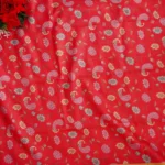 Siddanth Pythani Border And Pallu Warm Silk -MB968 - Image 2