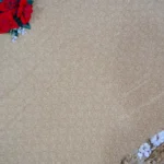 Pure Poonam Georget Sarees -MB036 - Image 3