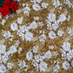 Pure Poonam Georget Sarees -MB036 - Image 4