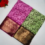 Dola Nakshtra Silk With Kanchi Border -MB043