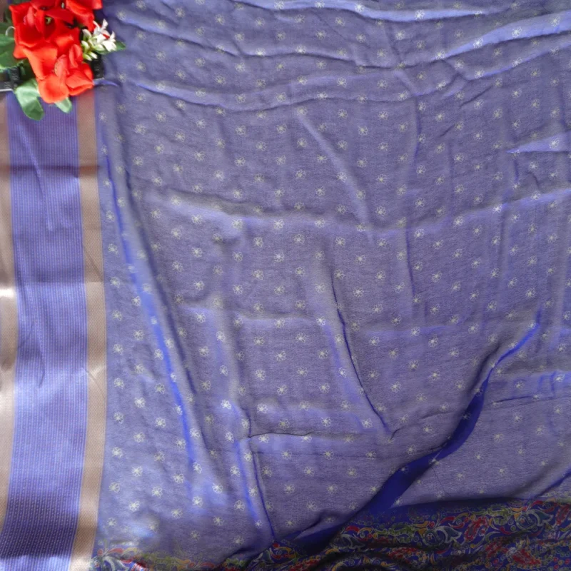 Kashmiri Designer Gap Boarder Sarees -MB228(085) - Image 2