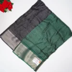 Dola Georget With Pochampalli Blouse -MB268