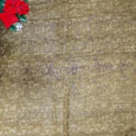 Zara daily Ware Sarees -MB820 - Image 2