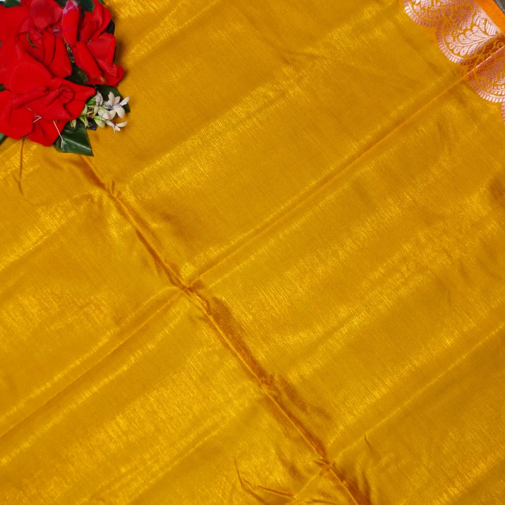 Pocham Pally Pattu Saree-MB669 - Image 3